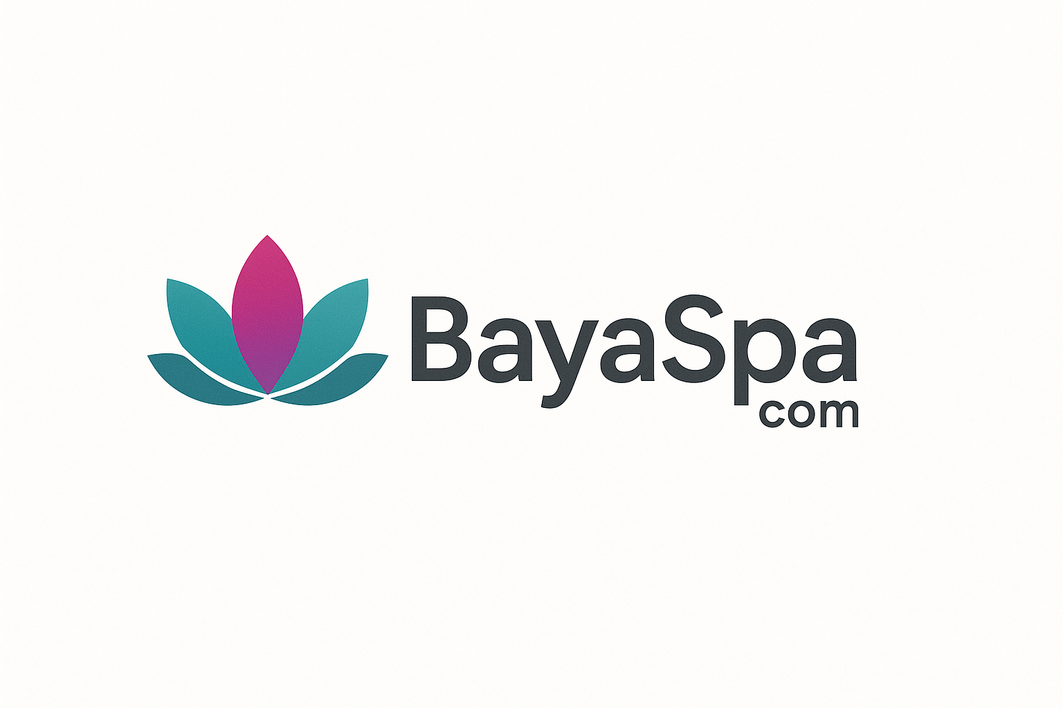 Logo bayaspa.com