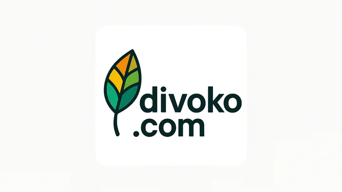 Domain divoko.com Brand