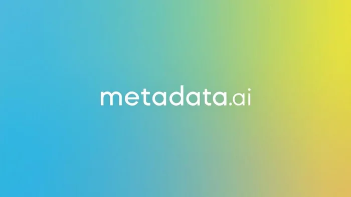 Domain metadata.ai Brand