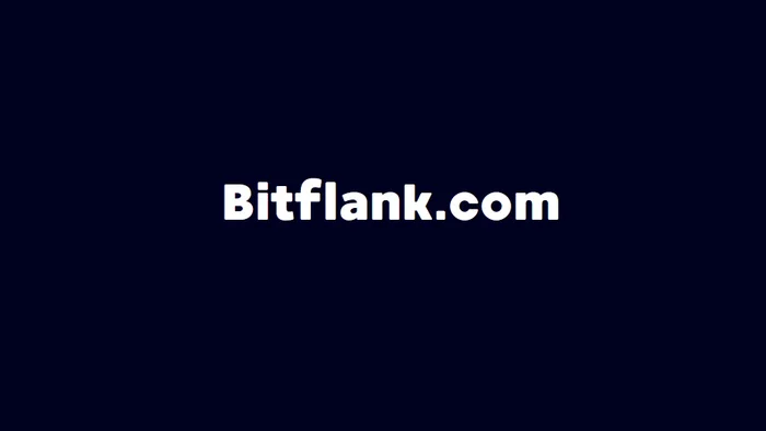 Domain Bitflank.com Brand