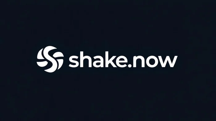 Domain shake.now Brand