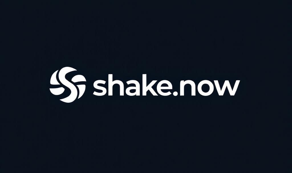 shake.now 标志