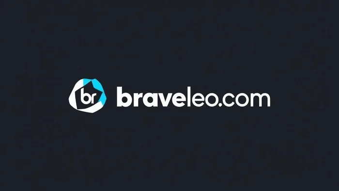 Domain braveleoai.com Brand