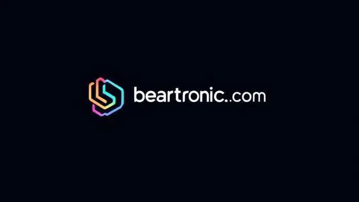 Domain beartronic.com Brand