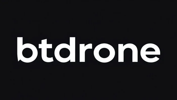 Domain btdrone.com Brand