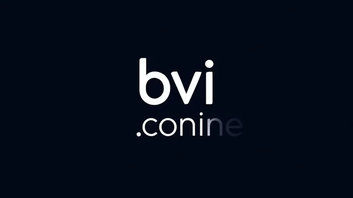 Domain bvi.online Brand