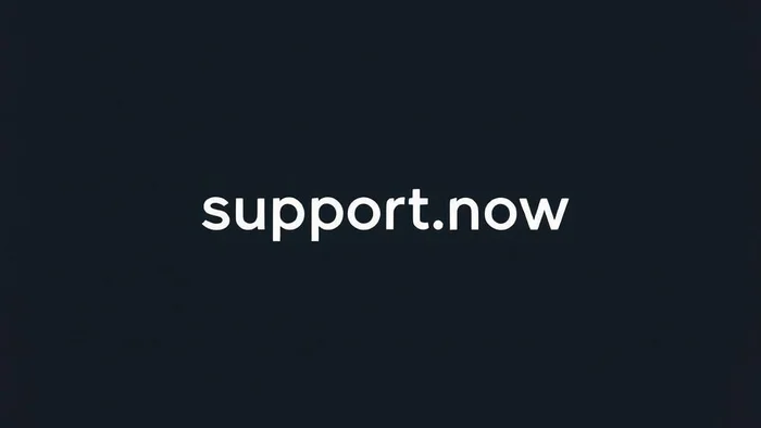 Domain support.now Brand