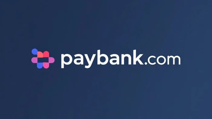 Domain paybanks.com Brand