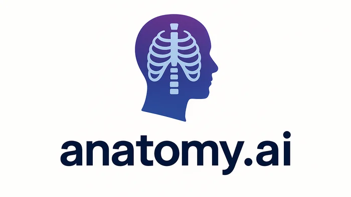 Domain anatomy.ai Brand