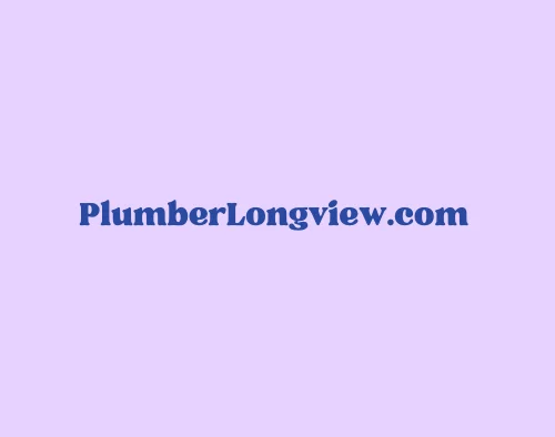 Domain plumberlongview.com Brand